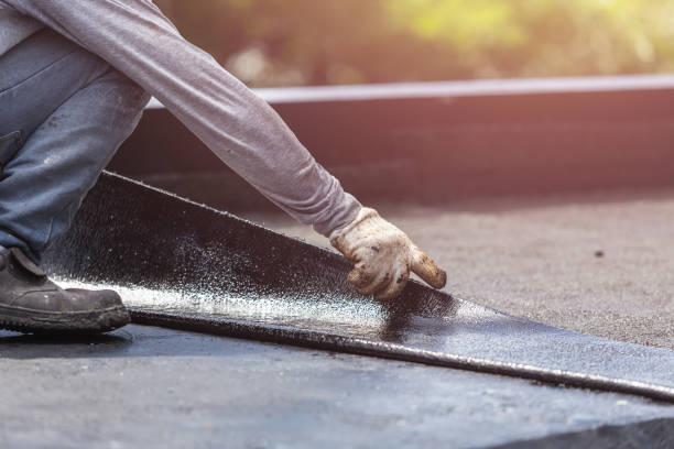 Wet basement repair process in Evart, MI